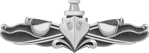 US Navy ESWS pin